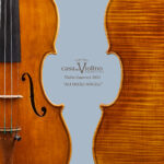 ALI DEGLI ANGELI – anno 2021 –  Violino Modello Guarneri