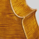 CAPRICORNO CELLO – anno 2019 – Violoncello Modello Stradivari