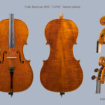 LOVE – anno 2020 – Violoncello Modello Stradivari