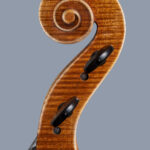PEGASO – anno 2017 – Violoncello Modello Stradivari