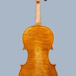 PESCI – anno 2019 – Violino Modello F. Galimberti